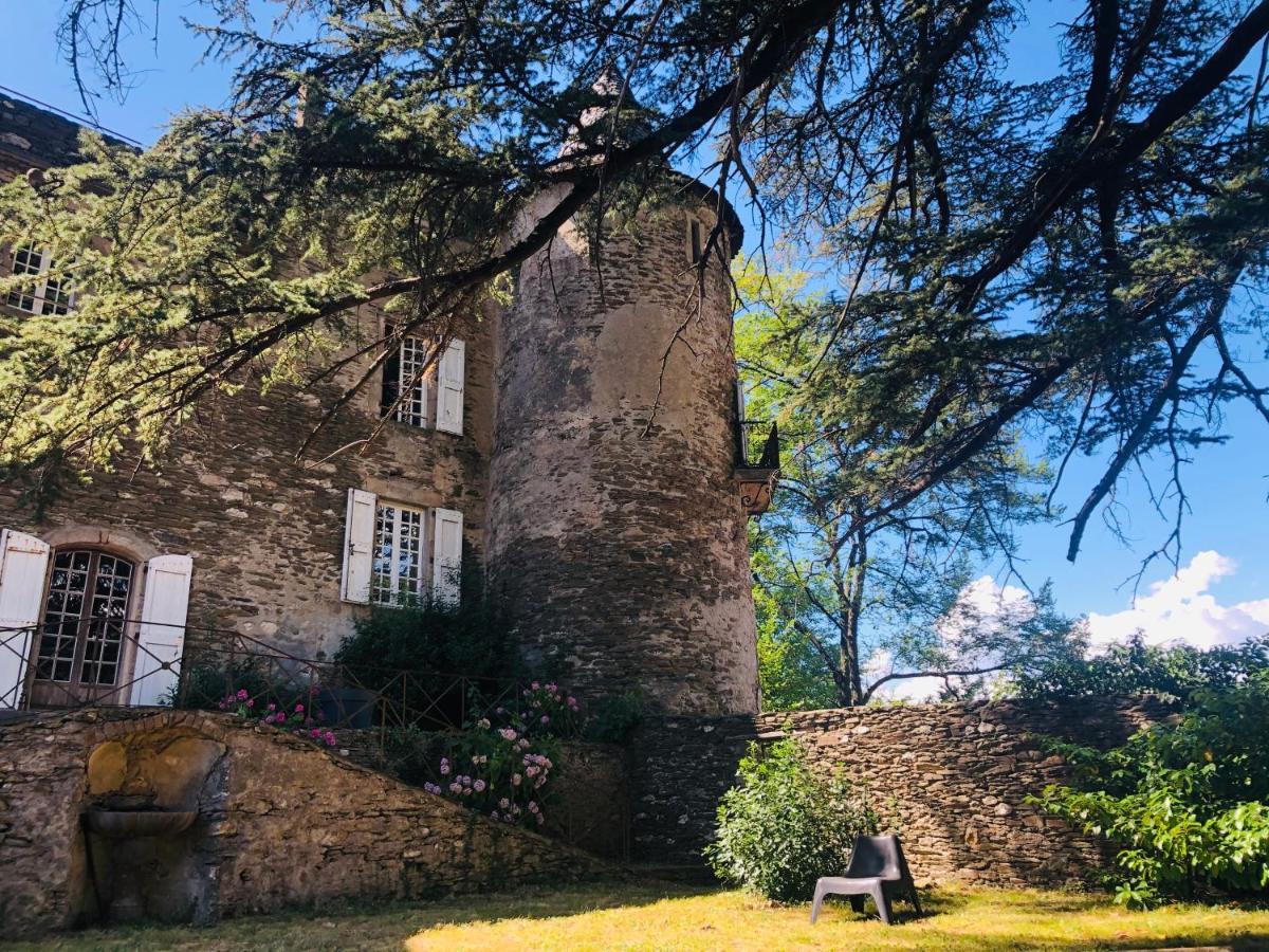 Le Château de Cambiaire Saint-Etienne-Vallee-Francaise Extérieur photo