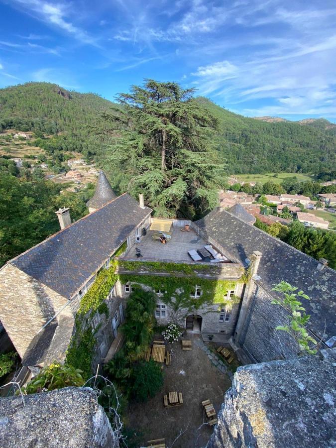 Le Château de Cambiaire Saint-Etienne-Vallee-Francaise Extérieur photo