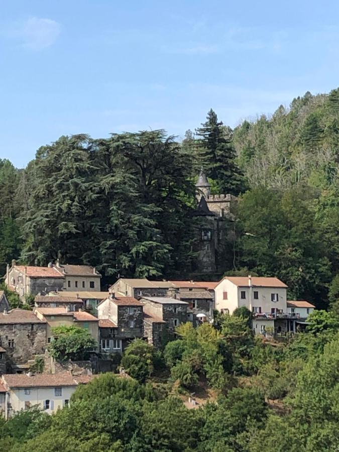 Le Château de Cambiaire Saint-Etienne-Vallee-Francaise Extérieur photo