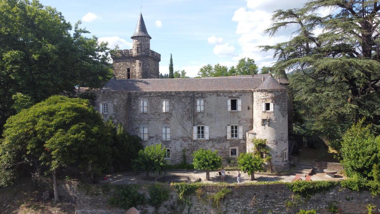 Le Château de Cambiaire Saint-Etienne-Vallee-Francaise Extérieur photo